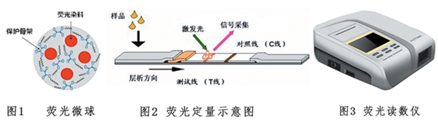 磺胺類抗生素?zé)晒饪焖贆z測(cè)試紙條