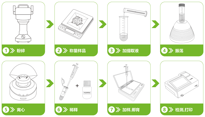 中藥材氟節(jié)胺熒光定量快速檢測卡檢測流程